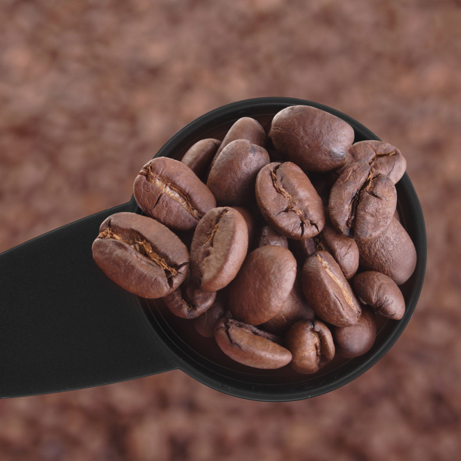 5 個の計量スプーンロングハンドルコーヒー豆スクープポリッシ - Coffee Tea Sugar のレビューと価格